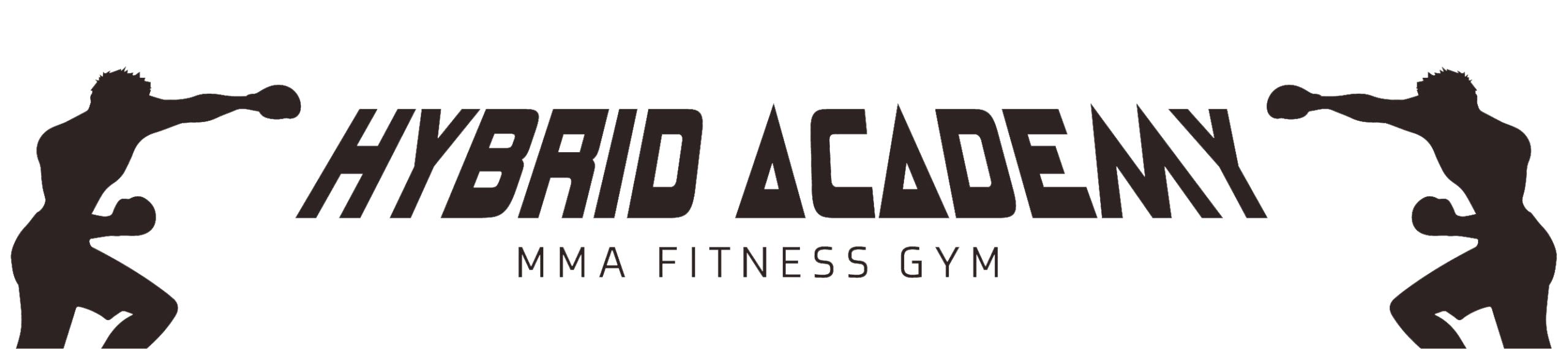 HYBRID ACADEMY